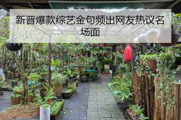 新晋爆款综艺金句频出网友热议名场面